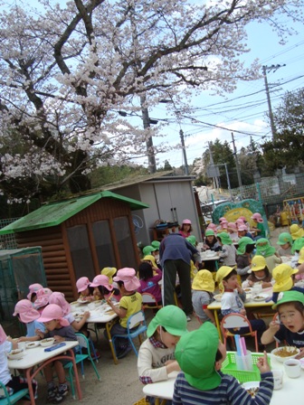 桜の木の下、お花見給食