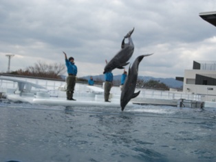 冬の遠足（海遊館）02