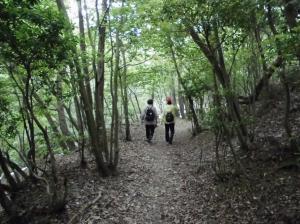 280525山道