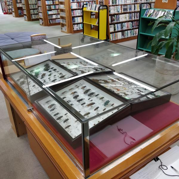 ガラスの大箱（募集用）