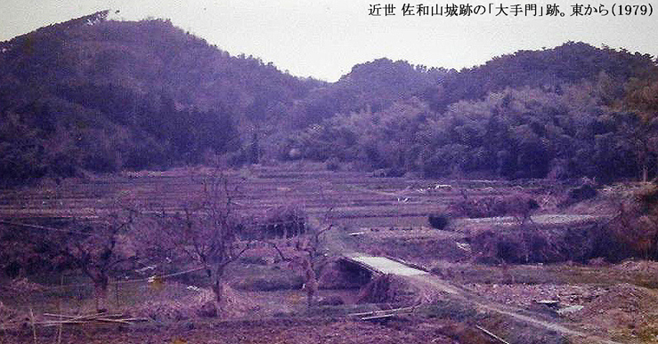 佐和山城遠望