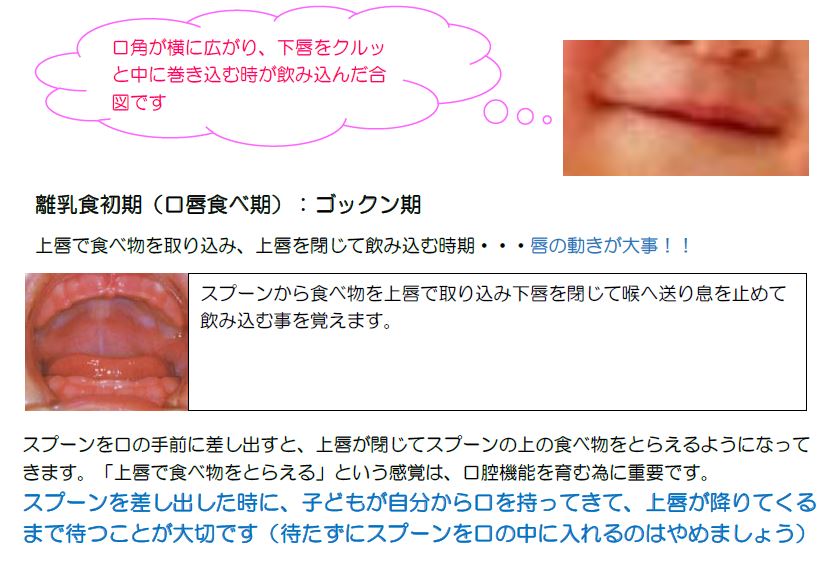 リと歯(3)-1