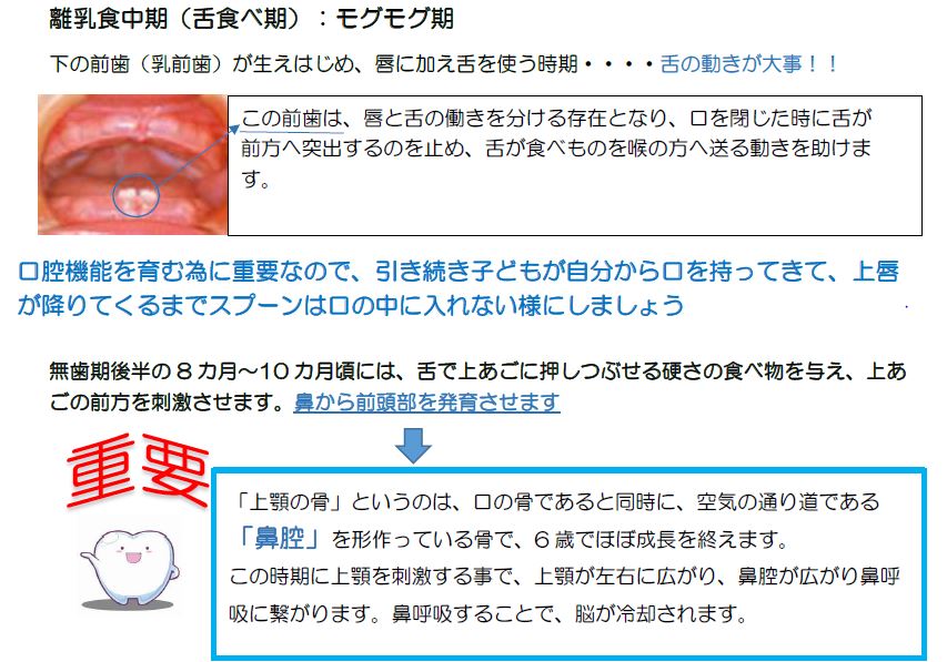 リと歯(3)-2