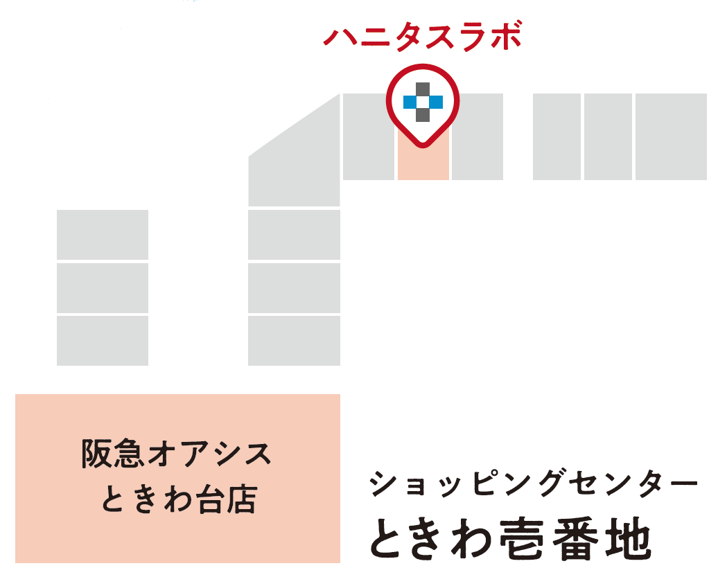 ハニタスラボ2