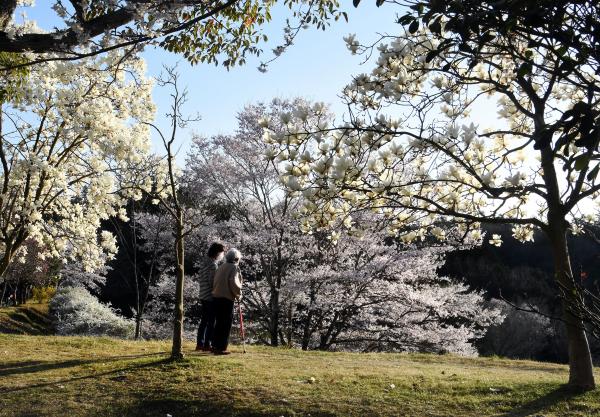 来年も見たいねぇ