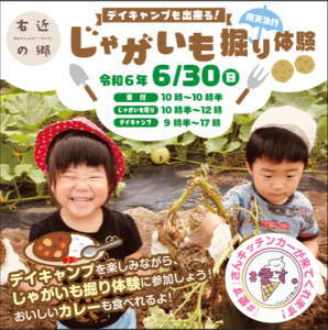 R6.6.30じゃがいも掘り1