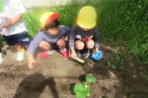 4歳ー1