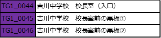 表12