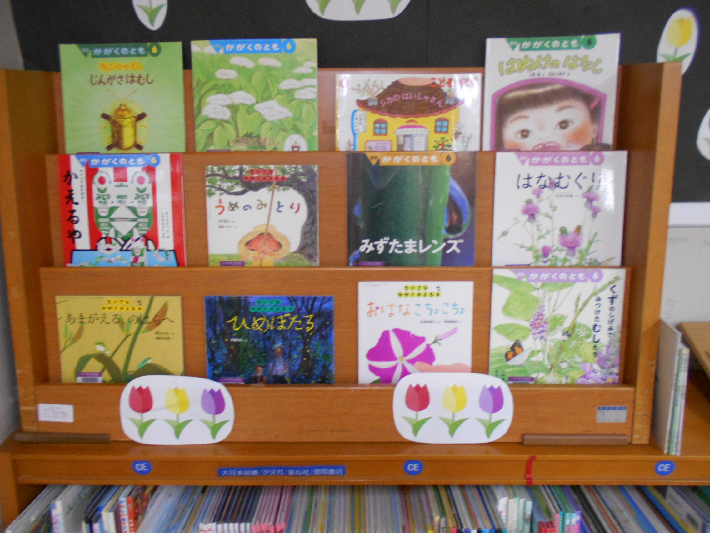 6月展示10