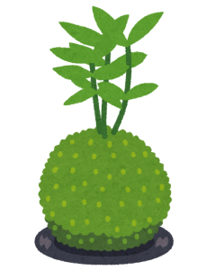こけ玉