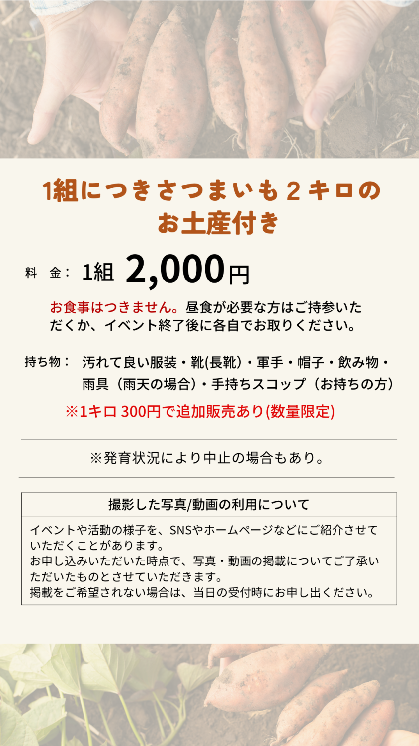 いも掘りチラシ2