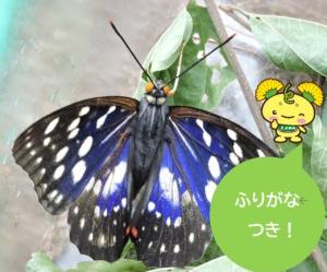 まちの自然トップ画像