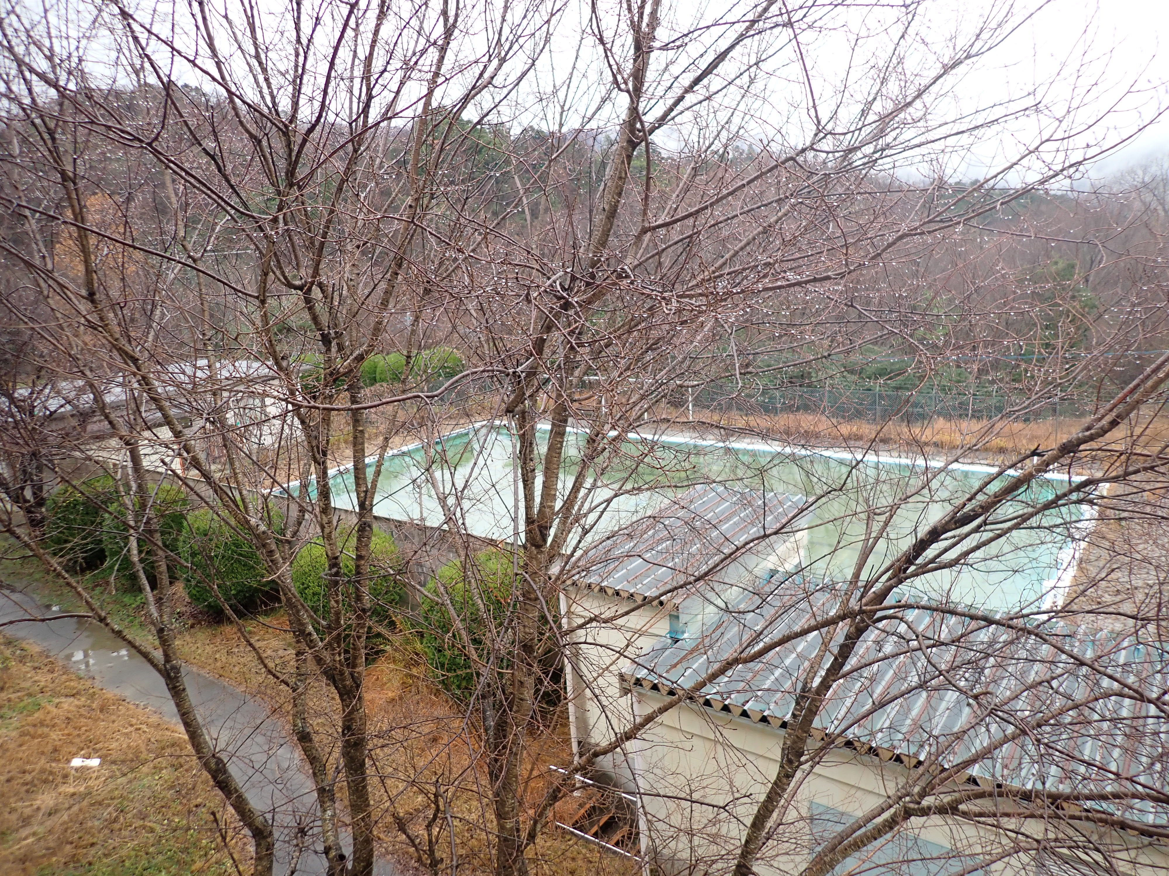 【とよのおもいでアーカイブ】東ときわ台小学校　プール (TG4_0063 ～ TG4_0065)に関するページ