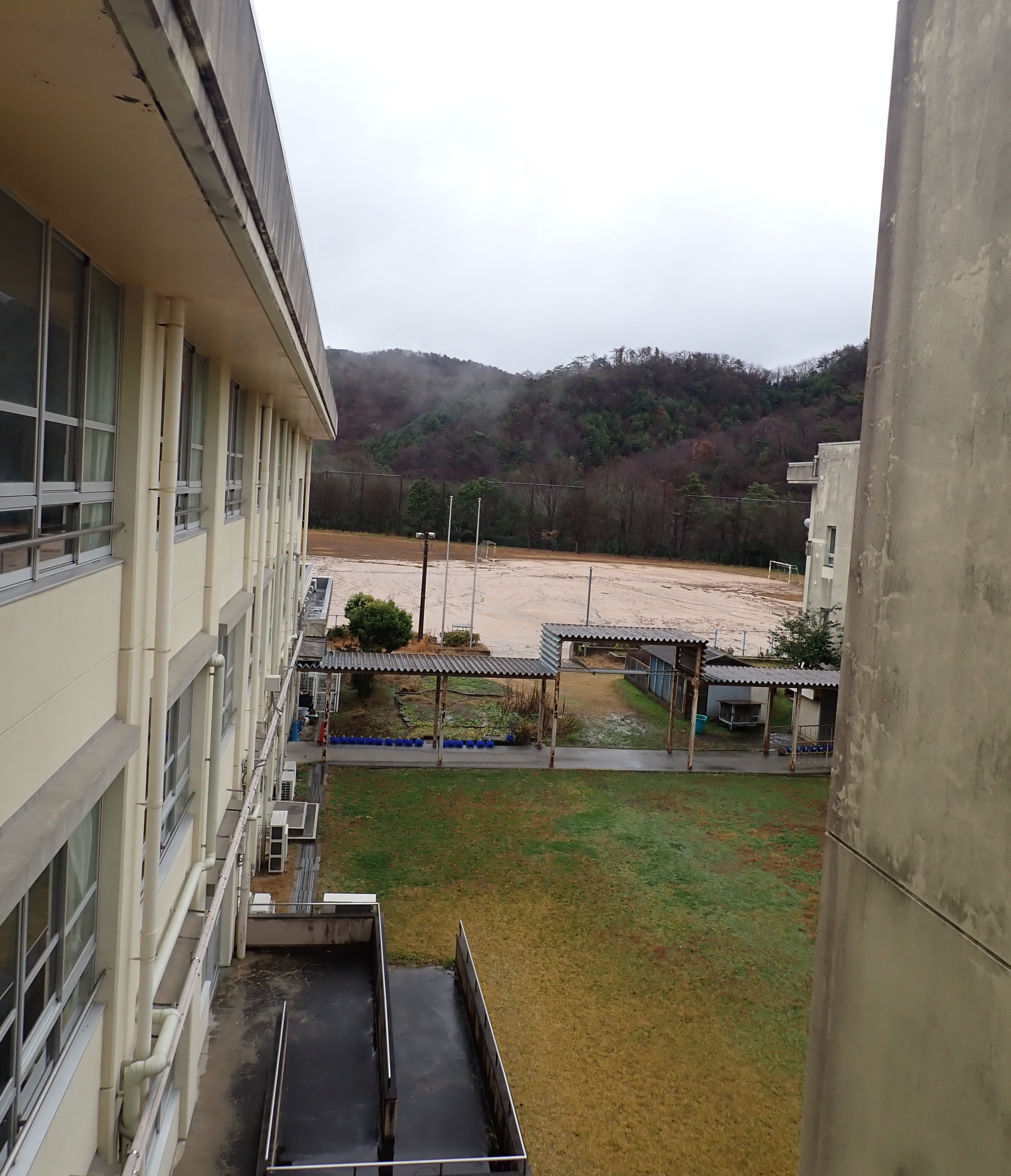 【とよのおもいでアーカイブ】東ときわ台小学校　窓から見える中庭と山並み　 (TG4_0034)に関するページ