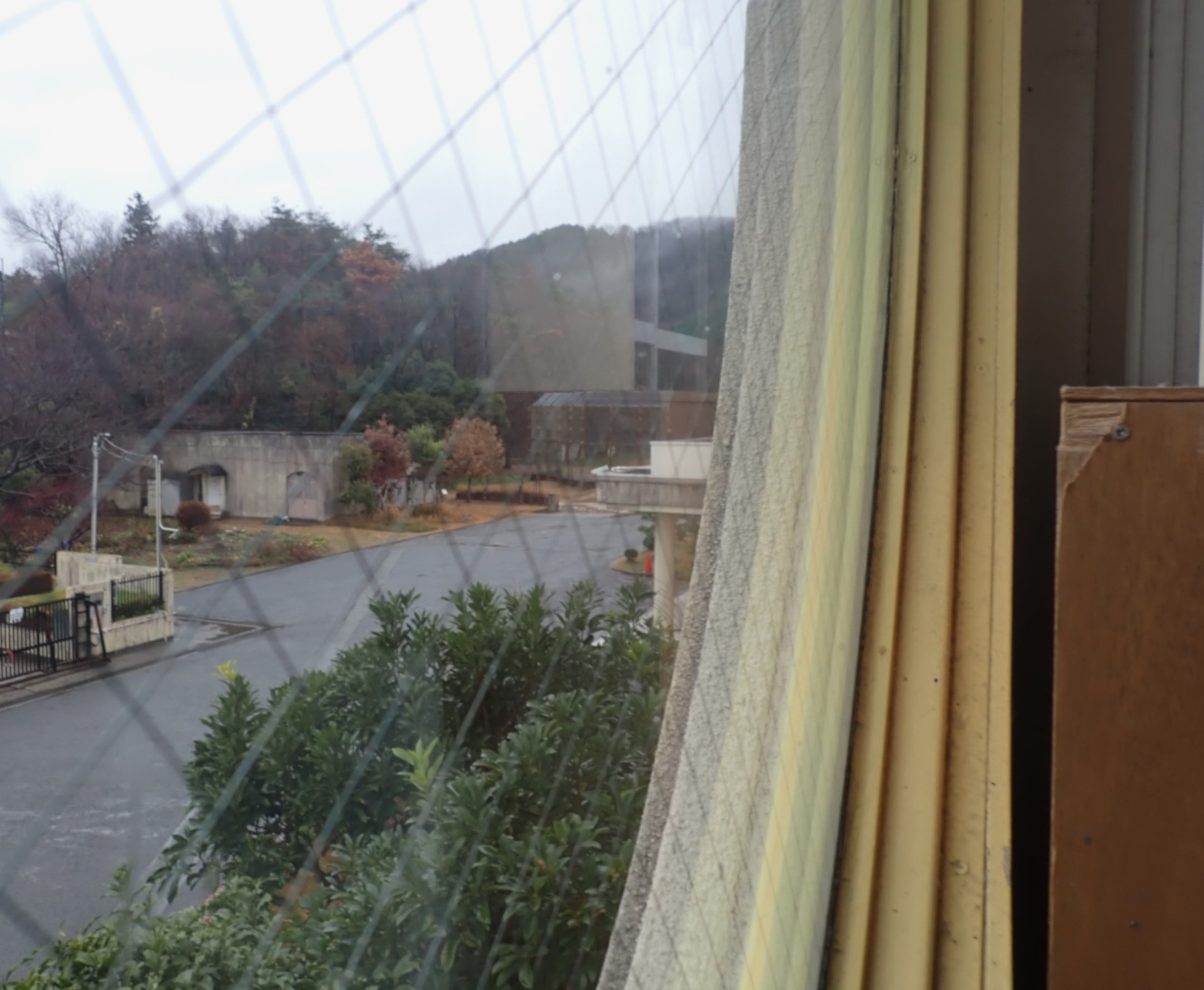 【とよのおもいでアーカイブ】東ときわ台小学校　丸窓から見た景色　 (TG4_0033)に関するページ