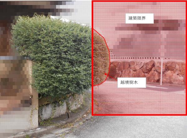 建築限界(歩道・車道共存)