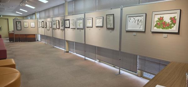 野の花展示