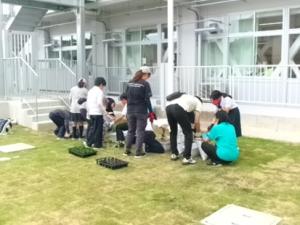 花4