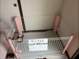 ケージ2