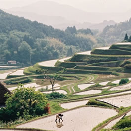 豊能町の風景01