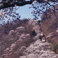 豊能町の風景03